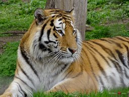 Tiergarten Schönbrunn am 23.03.2023